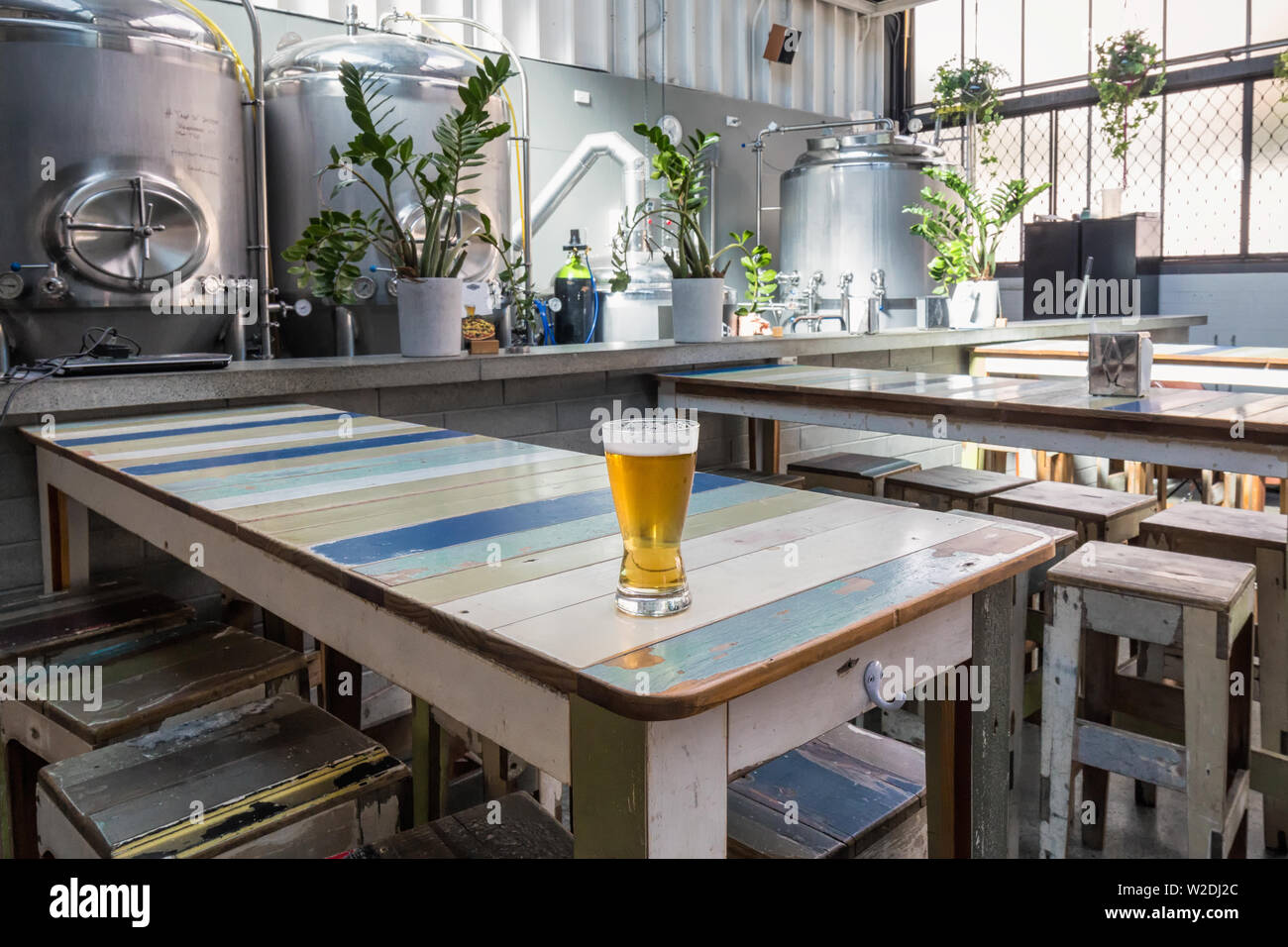 La birra in birreria a bella giornata, Auckland, Nuova Zelanda. Foto Stock