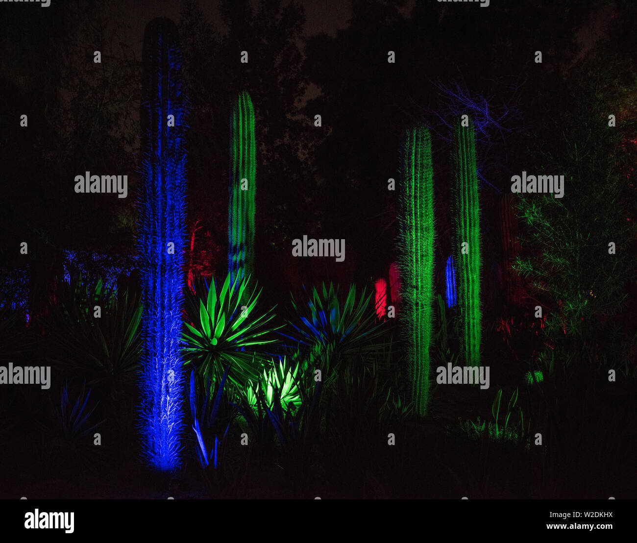 Al Noor Isola, Sharjah di notte Foto Stock