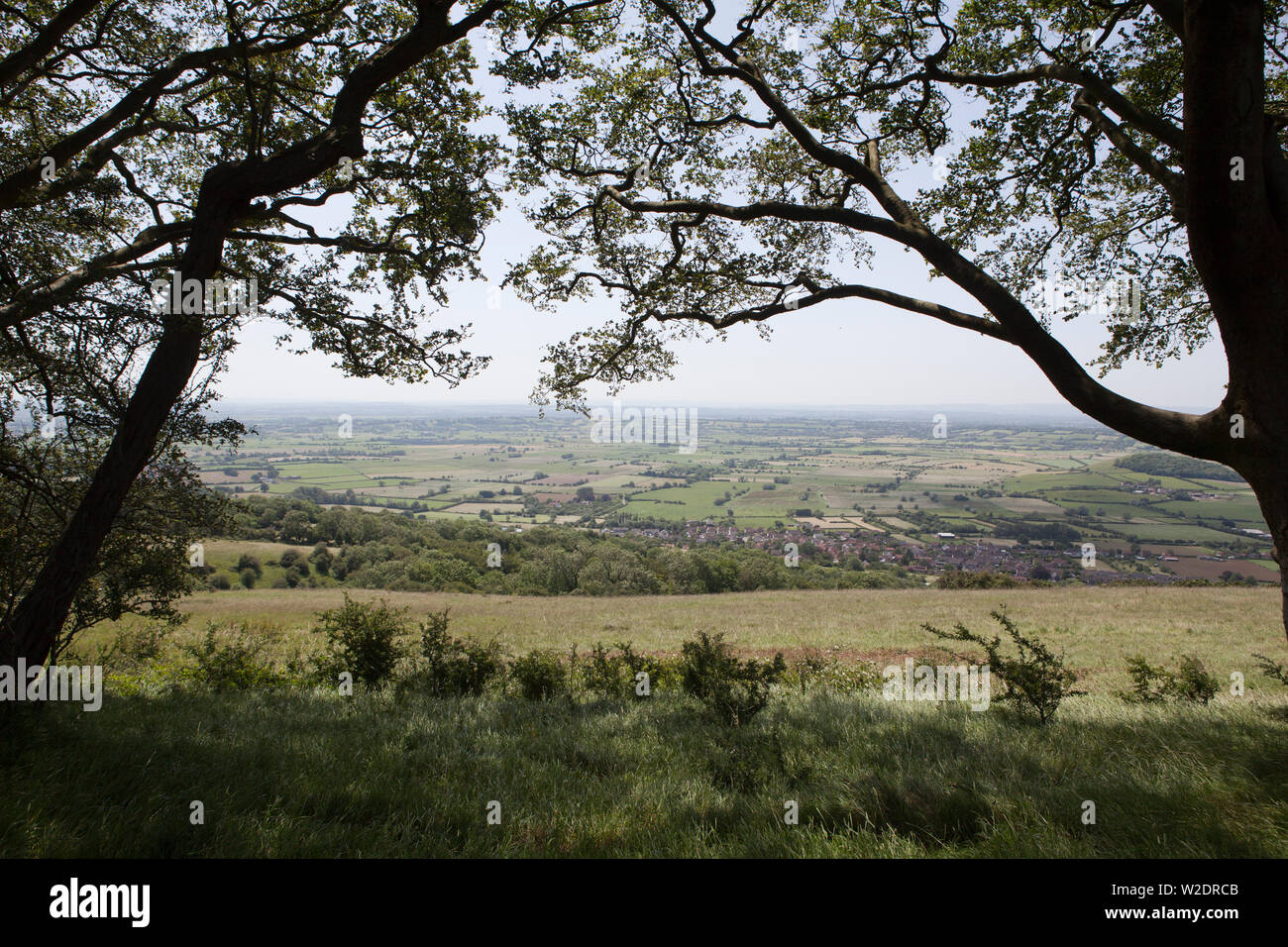 Draycott Sleights un nature preserve sul Mendips Foto Stock