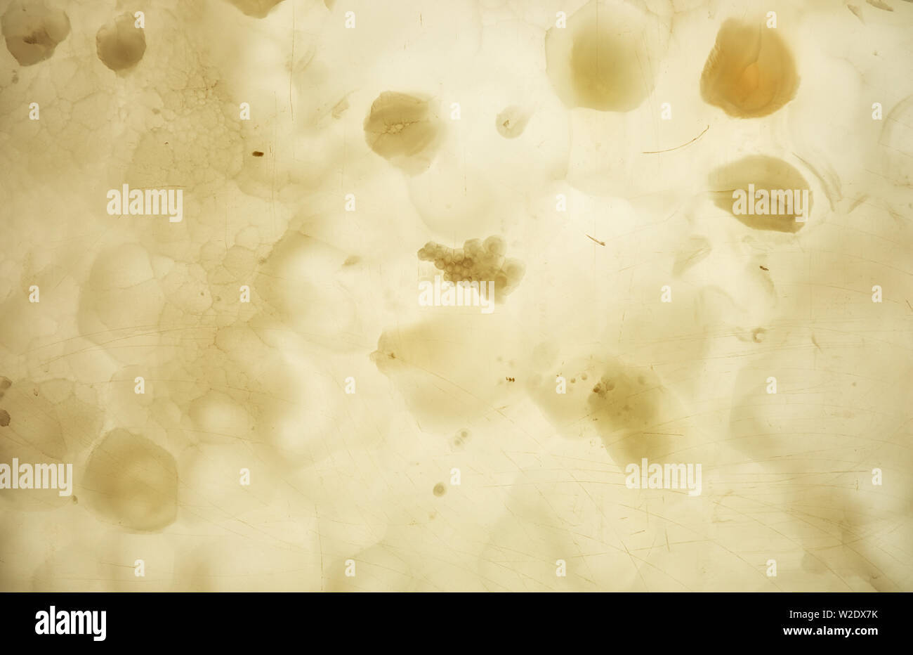 Onyx sfondo a parete. Consistenza del colore miele onyx materiale. Foto Stock