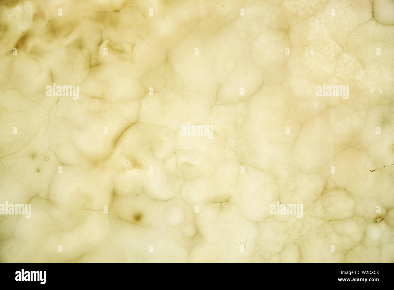 Onyx sfondo a parete. Consistenza del colore miele onyx materiale. Foto Stock