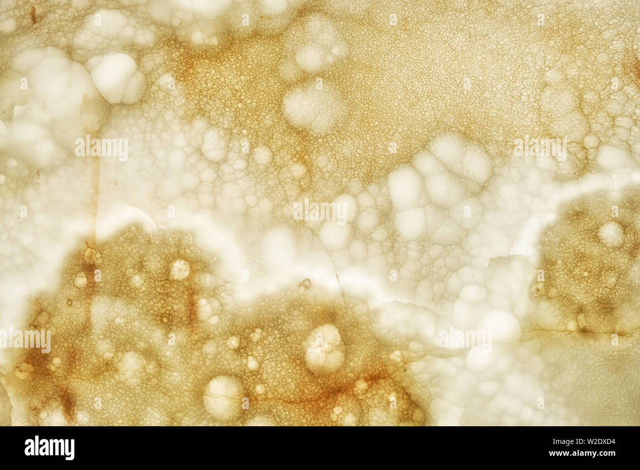 Onyx sfondo a parete. Consistenza del colore miele onyx materiale. Foto Stock