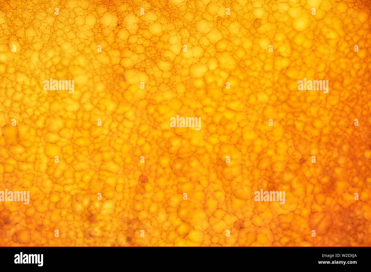 Onyx sfondo a parete. Consistenza del colore miele onyx materiale. Foto Stock