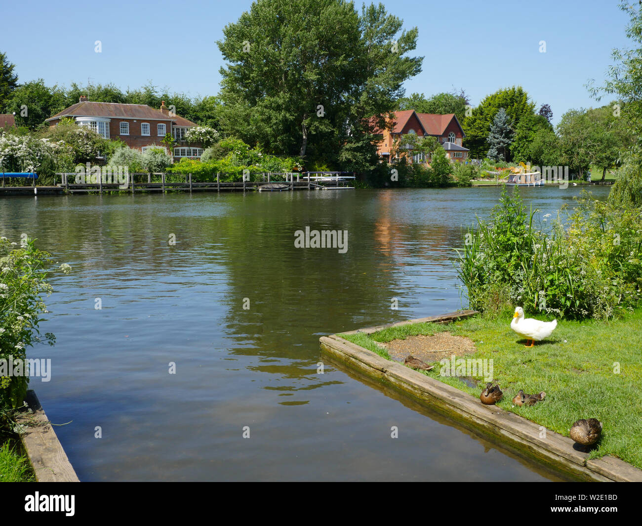 Il fiume Tamigi paesaggio, a Ferry Lane, sul percorso Ridgeway, South Stoke, Oxfordshire, Inghilterra, Regno Unito, GB. Foto Stock