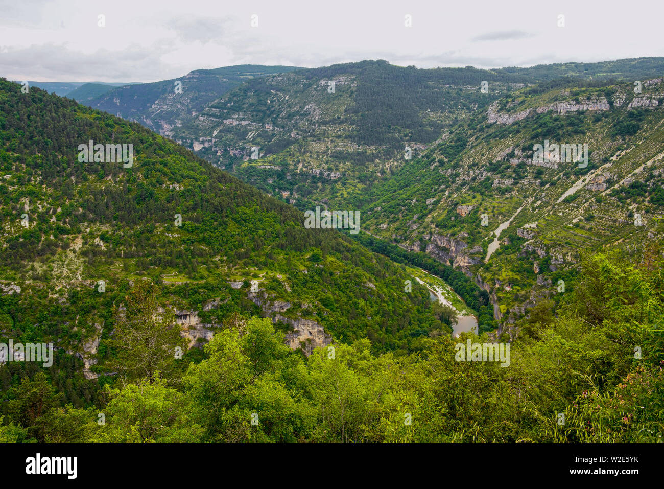 Cabrunas, Sainte Enimie. Languedoc Roussillon Lozère, Francia Foto Stock