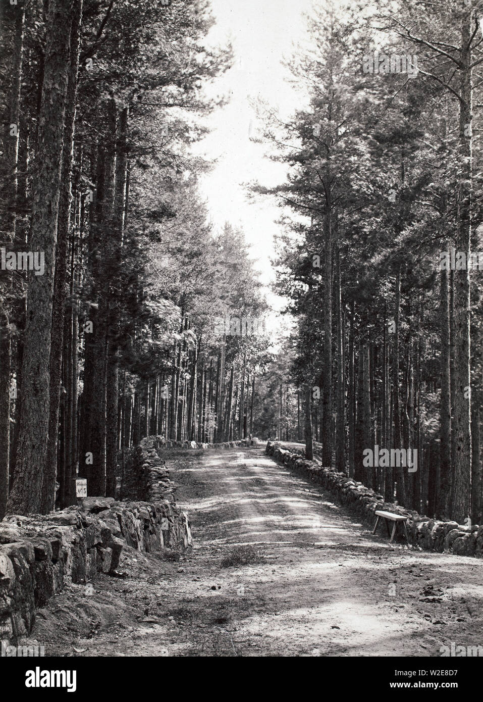 Nei primi anni del XX secolo strada rurale in Finlandia Foto Stock
