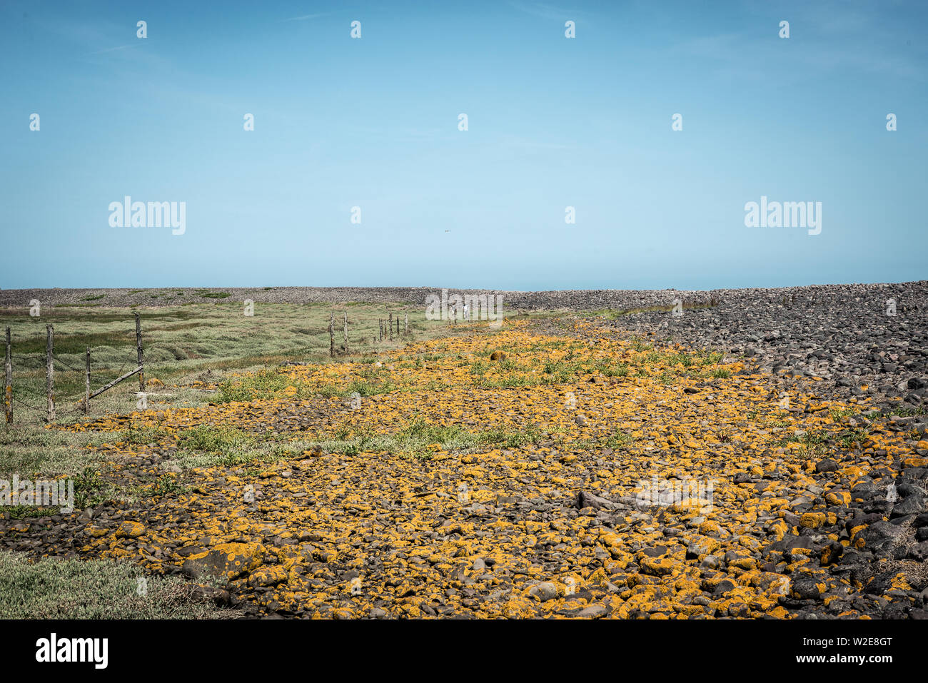 Saltmarsh Porlock Harbour, Somerset Foto Stock