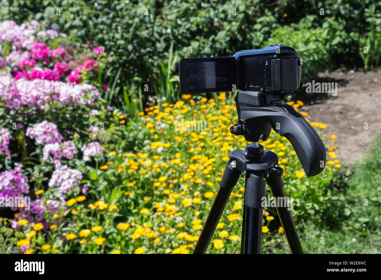 La videocamera su un treppiede nel giardino di fiori di germogli Foto Stock