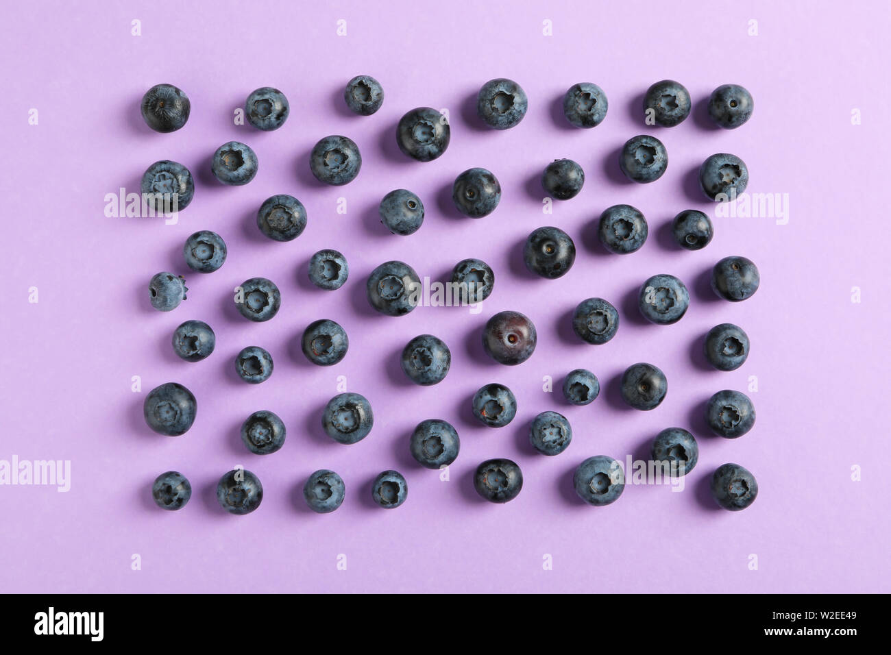 Piano di composizione dei laici con bacche sul colore di sfondo, spazio per il testo Foto Stock