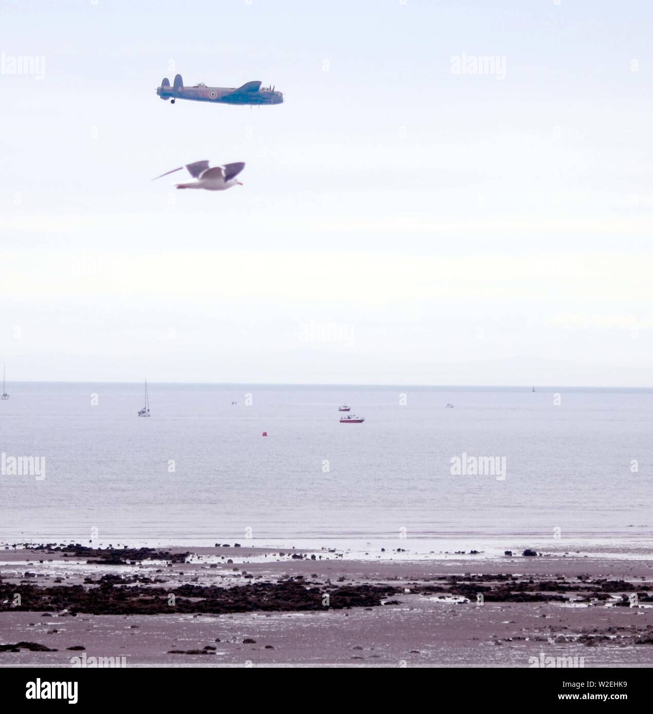 L'Avro Lancaster del Battle of Britain Memorial Flight (BBMF) racing un gabbiano locali al di sopra del mare nella baia di Swansea durante il Galles Air Show, Luglio Foto Stock