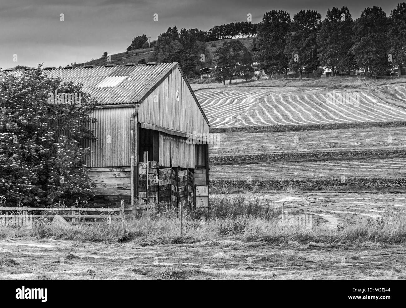 Bianco e nero campagna scena mostrando un vecchio fienile, strisce di campi e muri in pietra a secco. Prese a Baildon, Yorkshire. Foto Stock