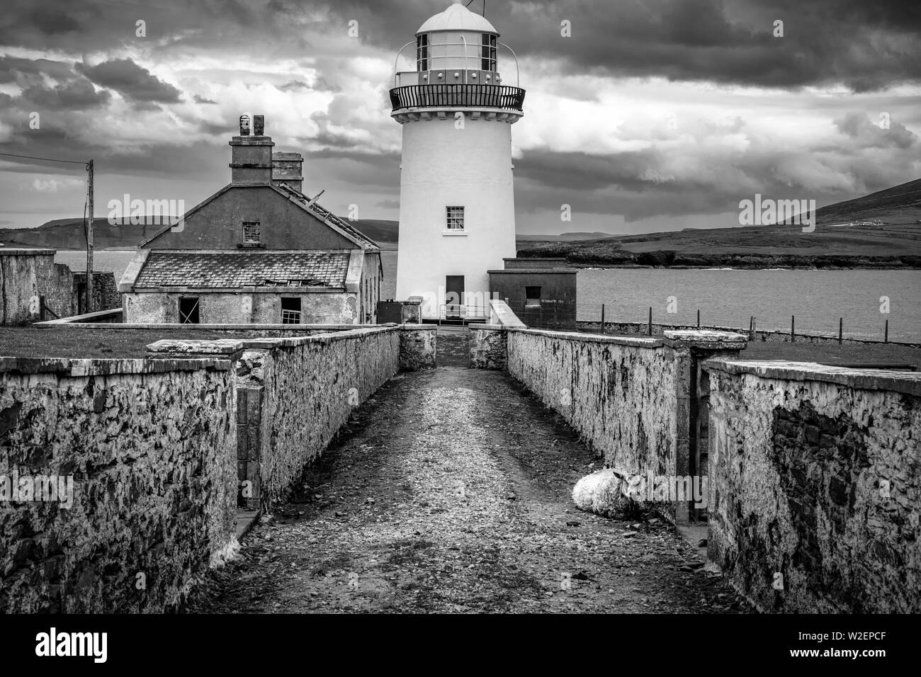 Ballyglass faro sulla costa orientale della contea di Mayo, Irlanda. Una pecora lone è in appoggio sulla strada Foto Stock