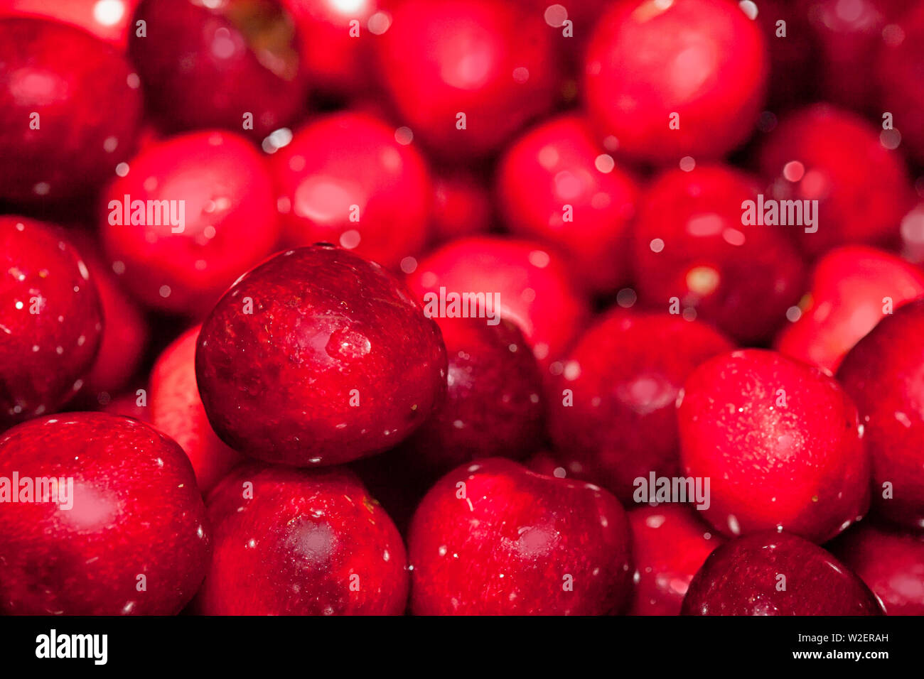 Close up di ciliegie. Telaio completo di ciliege rosse. Foto Stock
