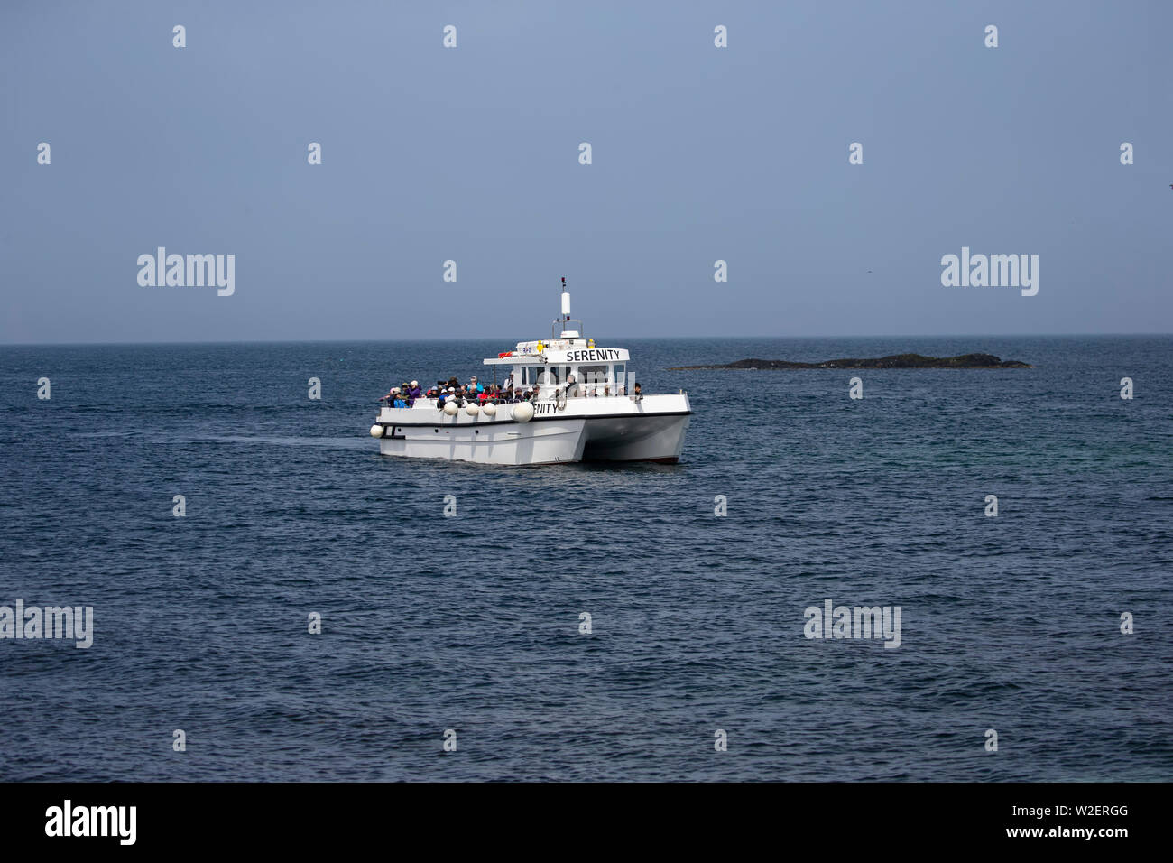 Imbarcazione da diporto 'Serenity' catamarano a vela sul mare del Nord e in esecuzione di viaggi in giro per le isole di farne e la costa del Northumberland, England, Regno Unito Foto Stock