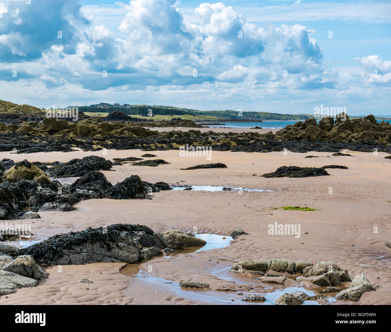 Costa rocciosa e la spiaggia con la bassa marea sulla soleggiata giornata estiva, Via di via, East Lothian, Scozia, Regno Unito Foto Stock