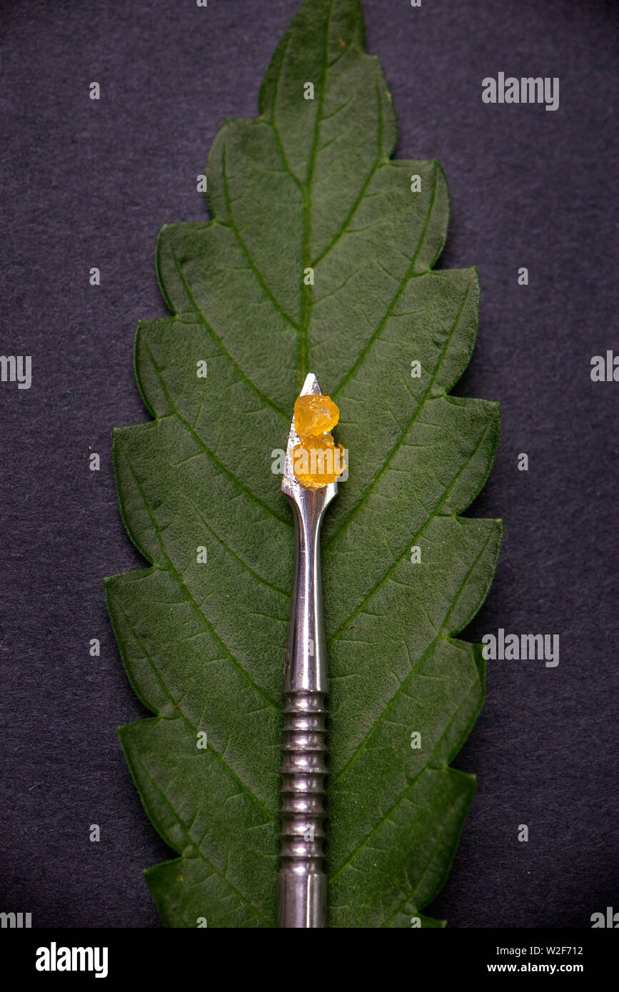 Macro dettaglio di cannabis concentrato di resina live estratta dal medico di marijuana su un utensile di levigatura Foto Stock
