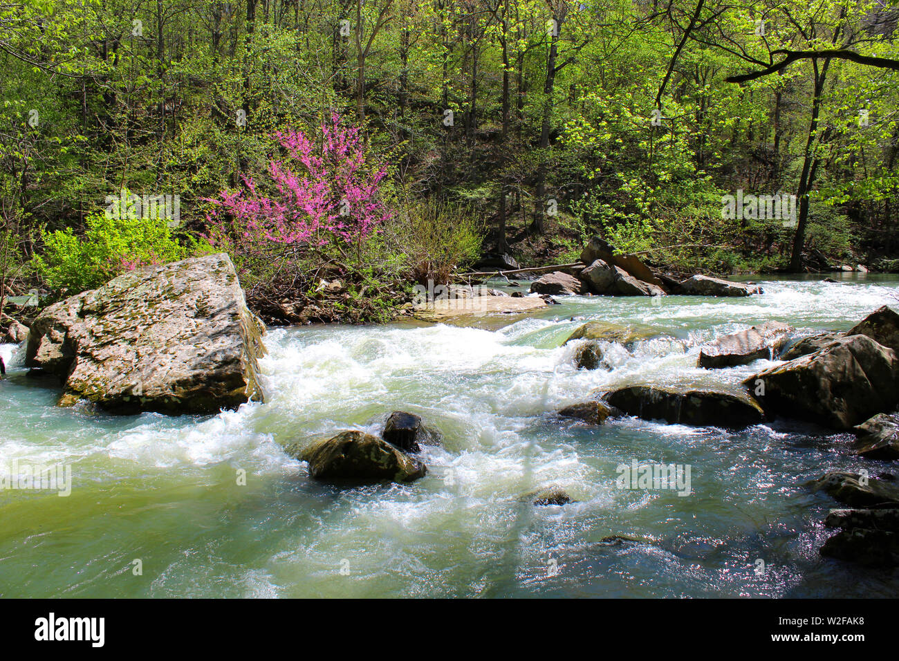 L'acqua scorre nel Clark Creek, nelle Ozark Mountains, in Arkansas Foto Stock