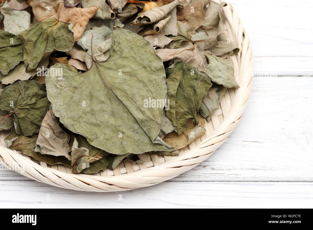 Houttuynia cordata foglie essiccate, dokudami su sfondo bianco Foto Stock