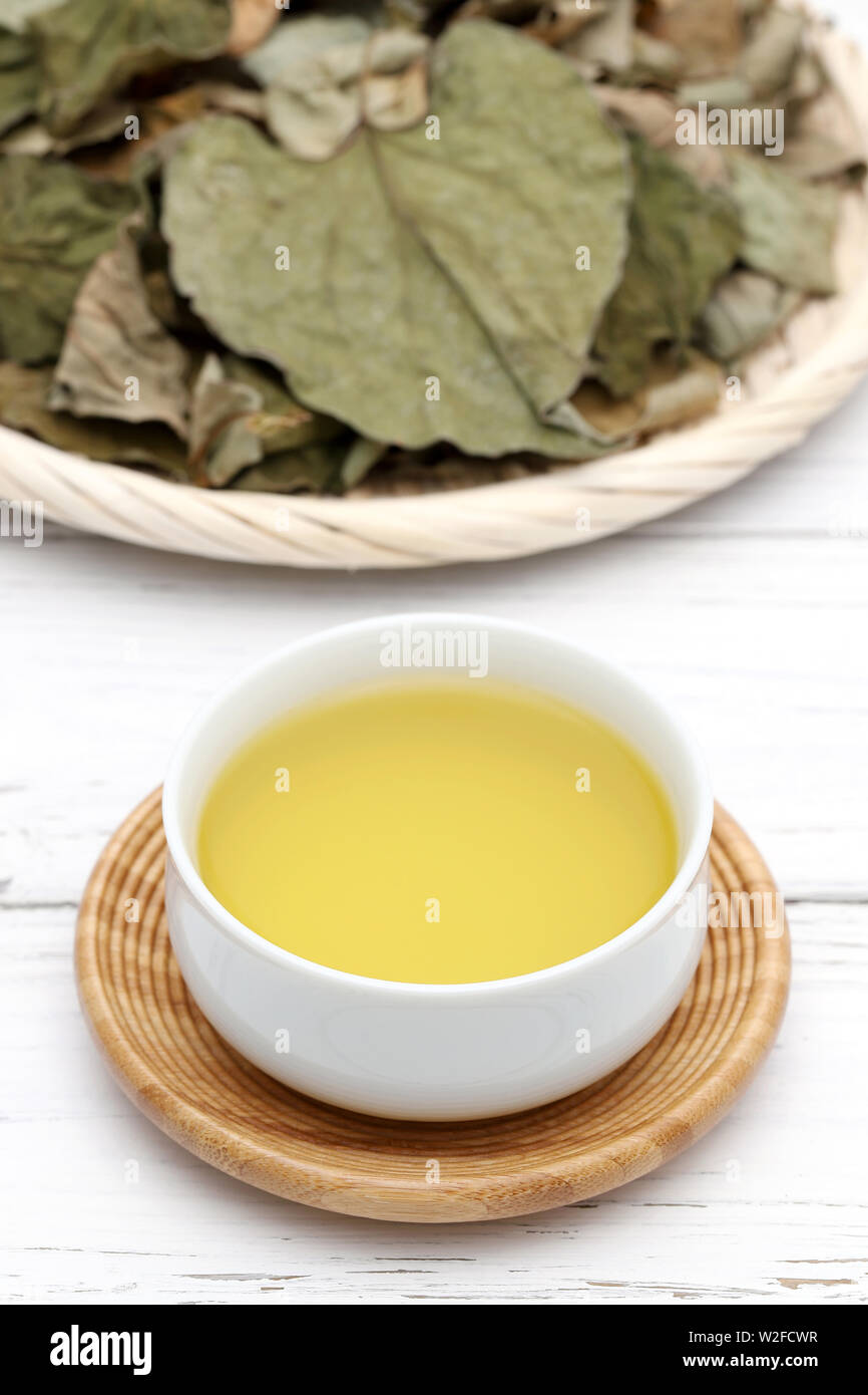 Houttuynia cordata tè, dokudami sano bere su sfondo bianco Foto Stock