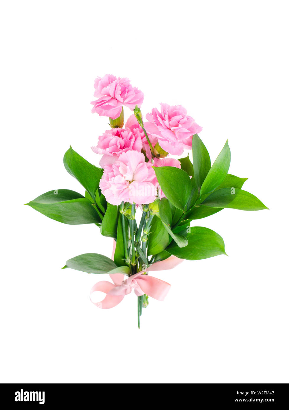 Più freschi garofani rosa. Foto Foto Stock