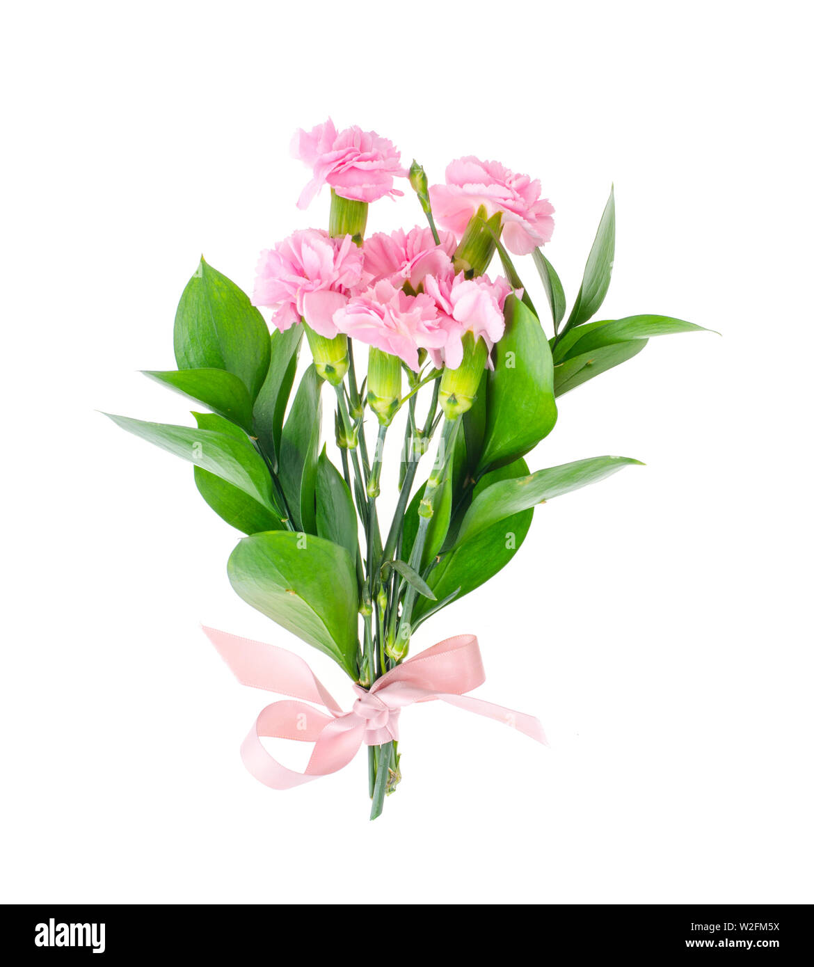 Più freschi garofani rosa. Foto Foto Stock