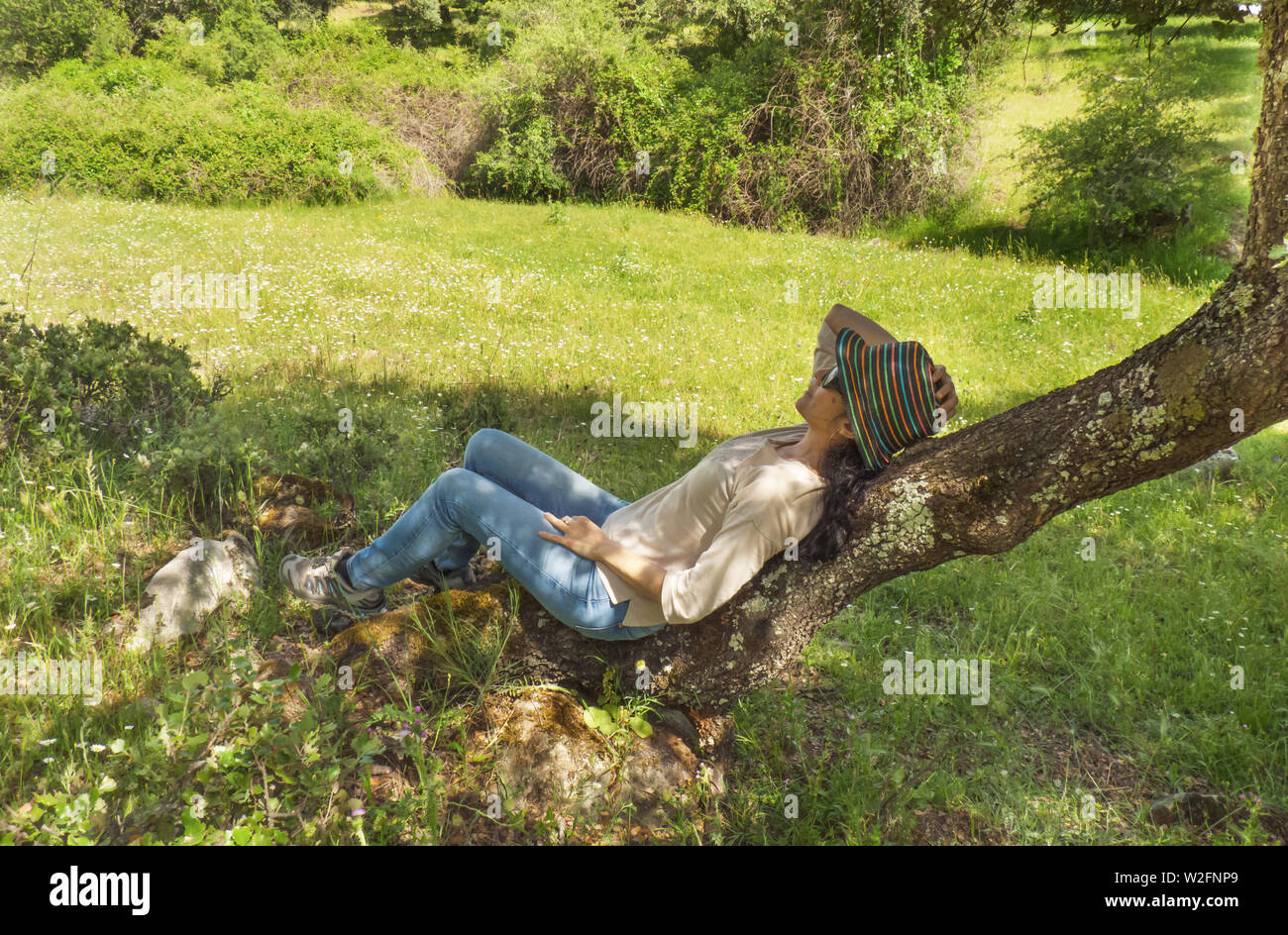 Brunette donna seduta su un albero in un campo di erba verde, godendo il paesaggio Foto Stock