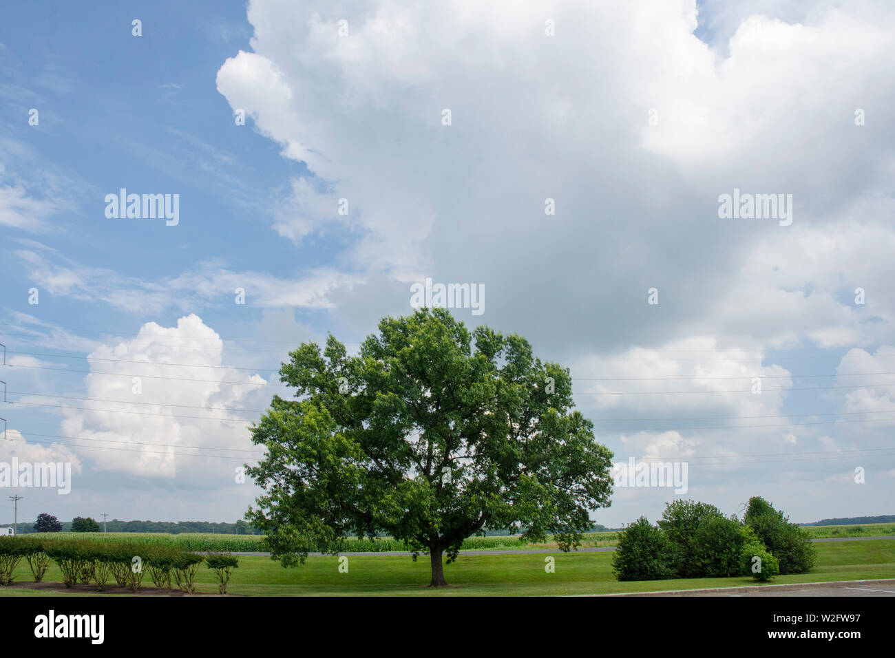 Enormi formazioni di nubi dominano il paesaggio in un caldo, umido, giorno d'estate nelle zone rurali Queen Anne's County, sulla sponda orientale del Maryland. Foto Stock