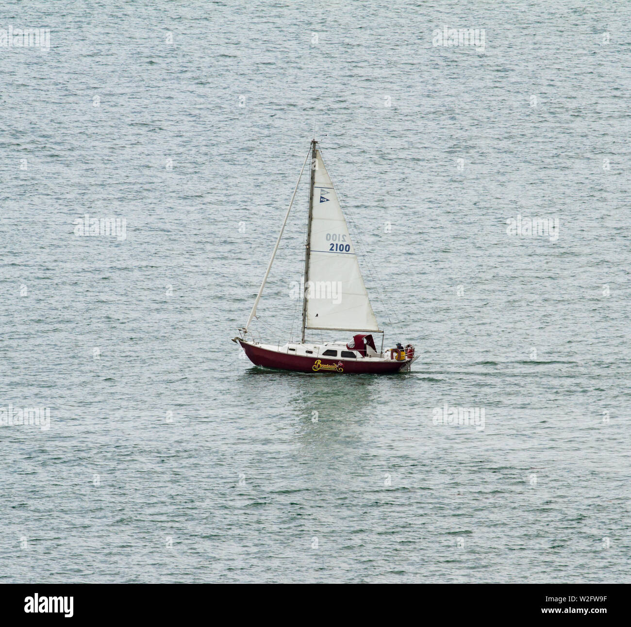 Barche a vela presso il lungomare di Auckland, Nuova Zelanda Foto Stock