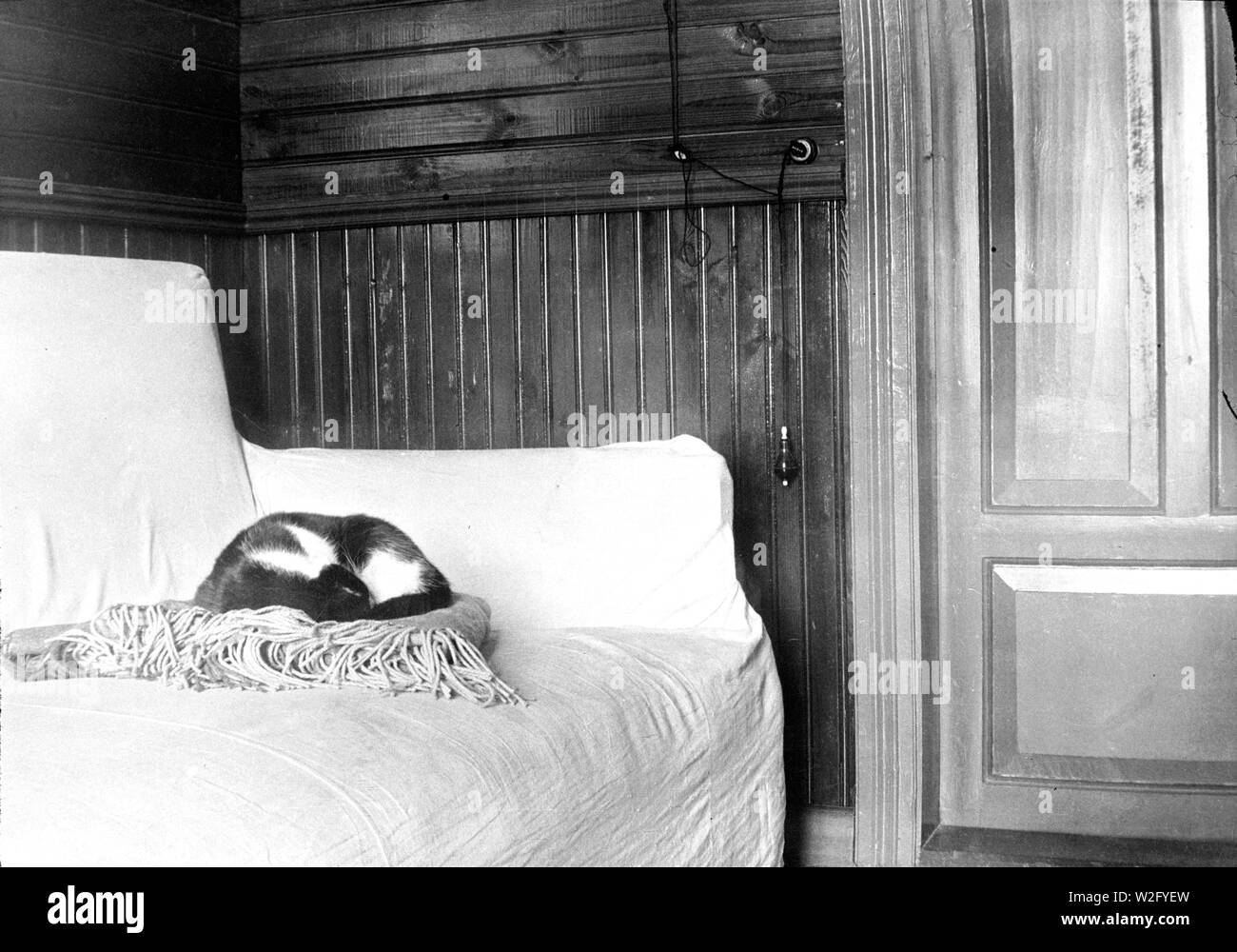 Interno della casa con il gatto sul divano e il campanello di allarme sulla parete ca. 1920 Foto Stock