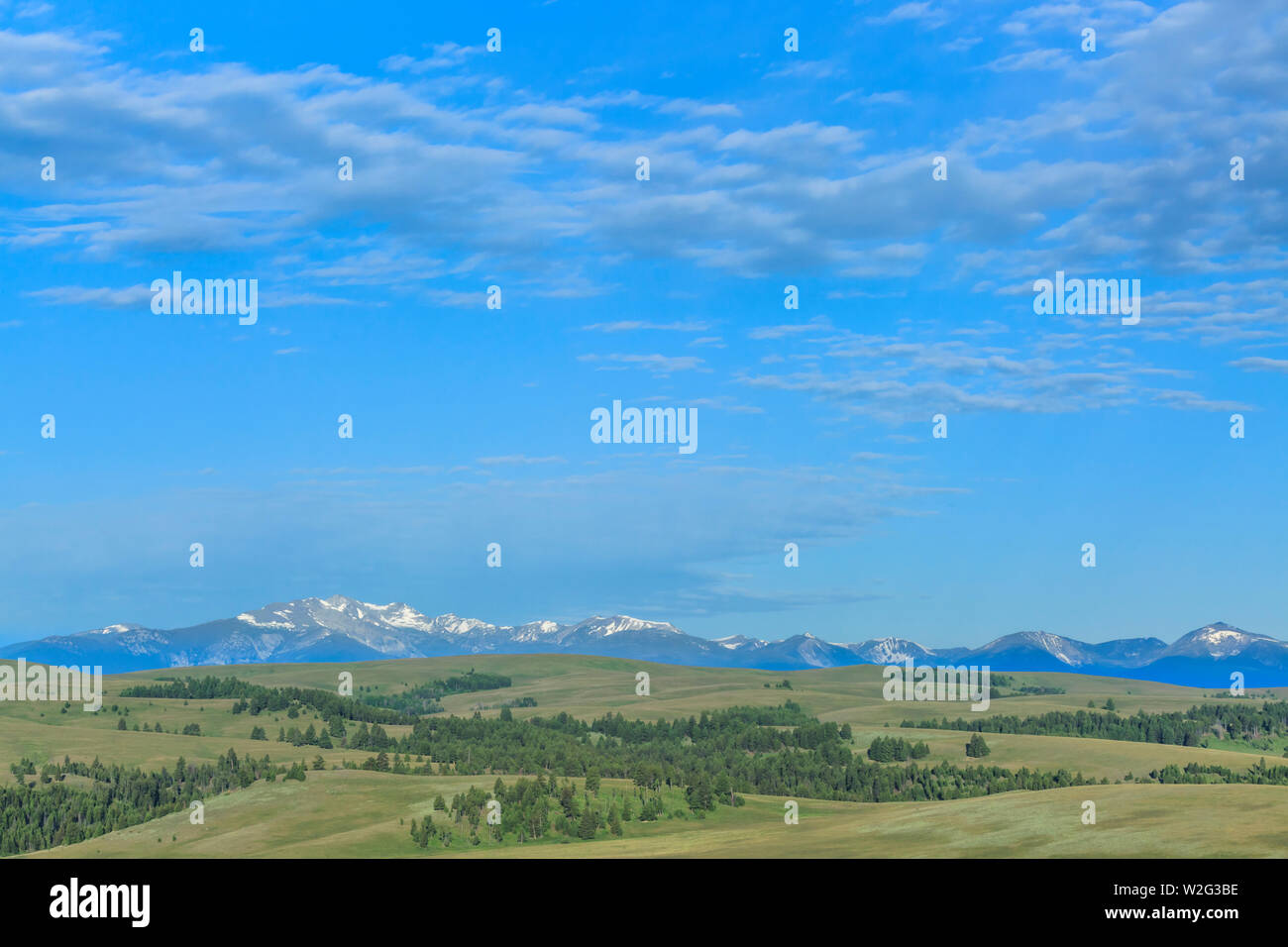 La selce creek suddetta gamma foothills dell'spotted dog creek vicino bacino avon, montana Foto Stock
