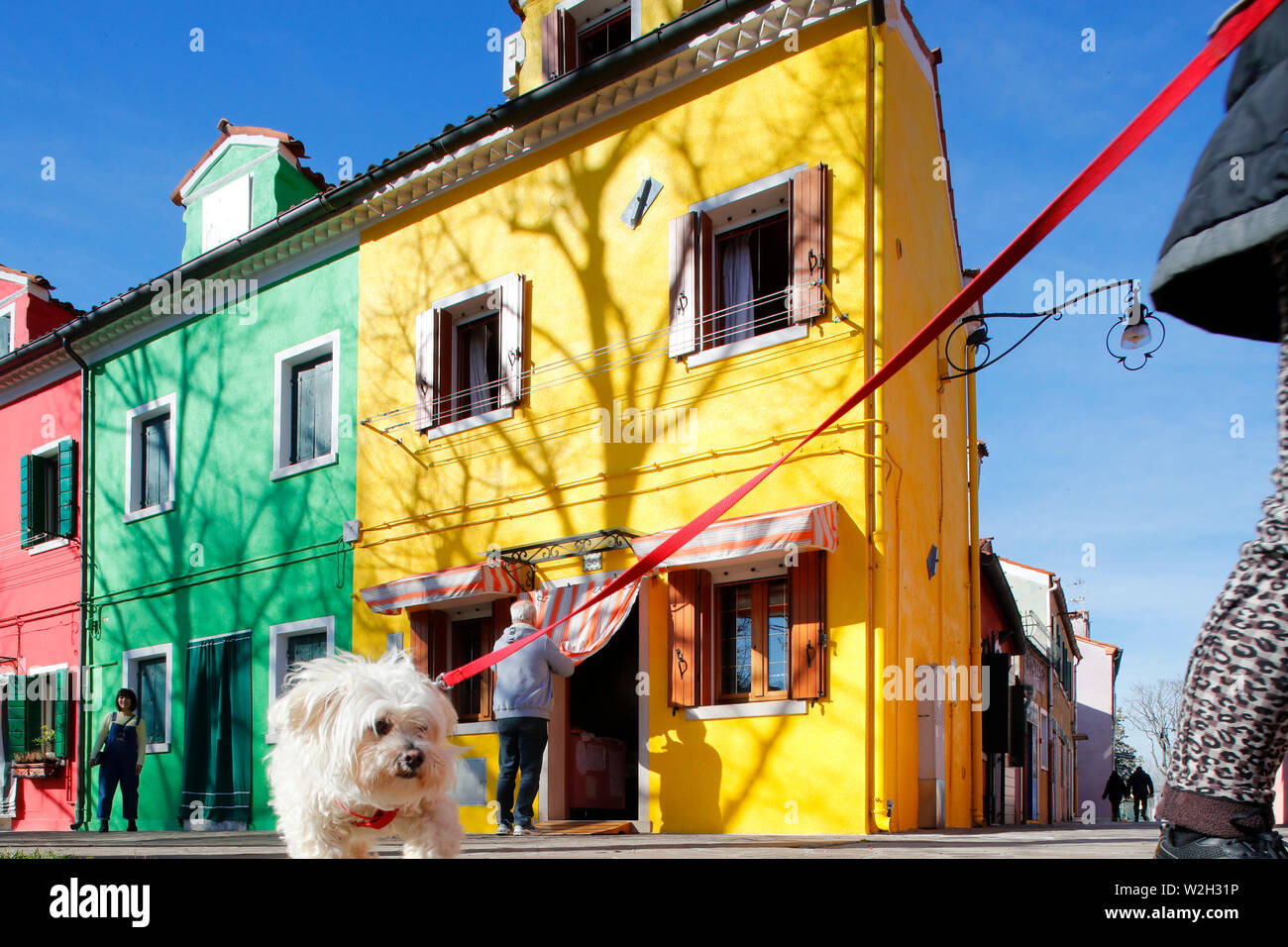 Multi case colorate nel villaggio di Burano. Cane. L'Italia. Foto Stock