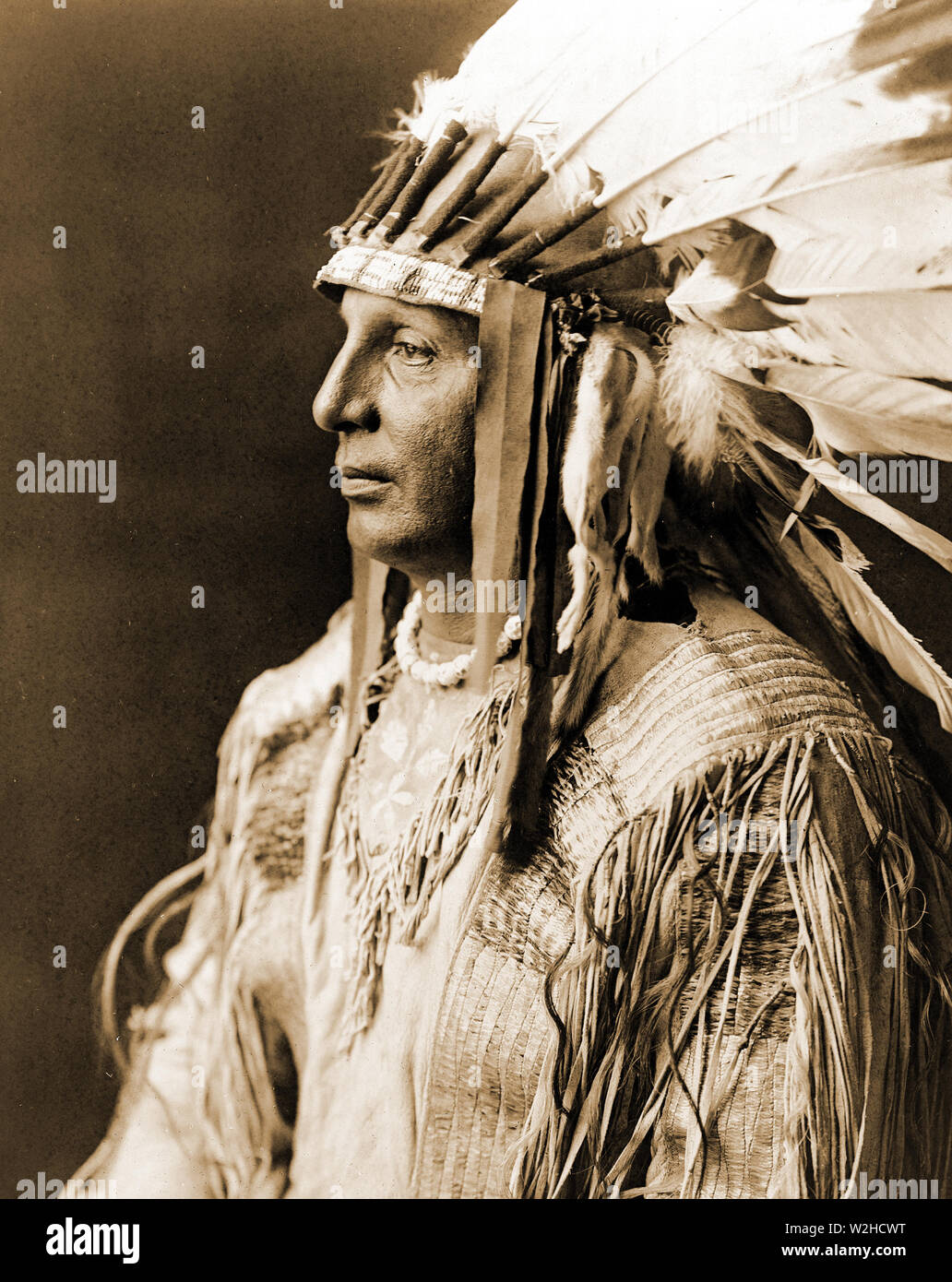 Edward S. Curtis nativi indiani americani - bianco scudo, Arikara ca. 1908 Foto Stock