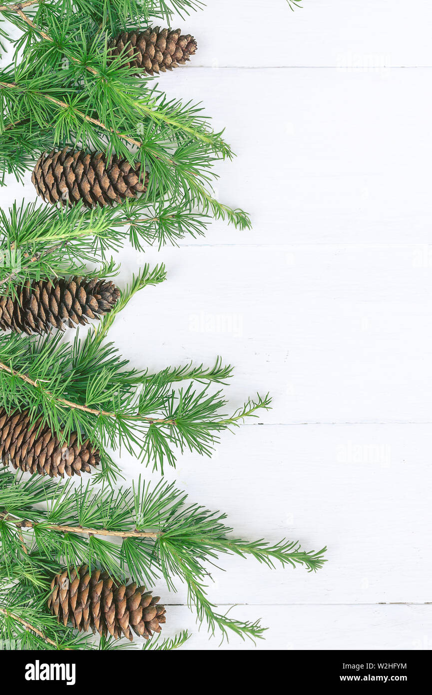 Natale verticale banner. Rami di abete, coni su un bianco sfondo rustico. Foto Stock