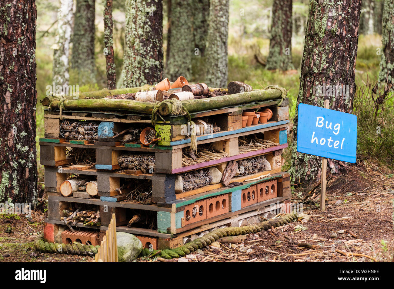 Bug Hotel a Loch Garten RSPB Centro nella foresta di Abernethy nella Riserva Naturale del Cairngorms National Park. Balavil, Strathspey, Highland, Scotland, Regno Unito Foto Stock