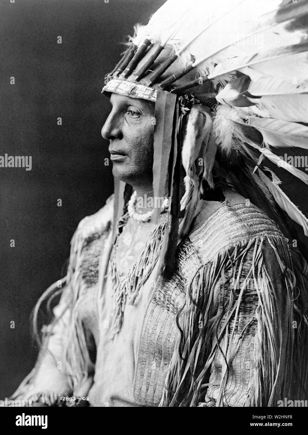 Edward S. Curtis nativi indiani americani - bianco scudo, Arikara ca. 1908 Foto Stock