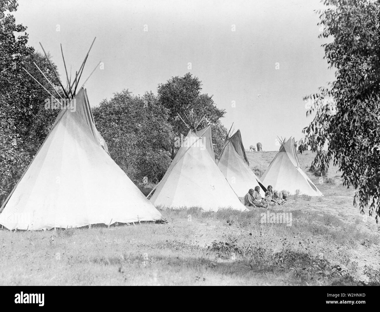 Edward S. Curtis nativi indiani americani - Assiniboine Indian Camp ca. 1908 Foto Stock
