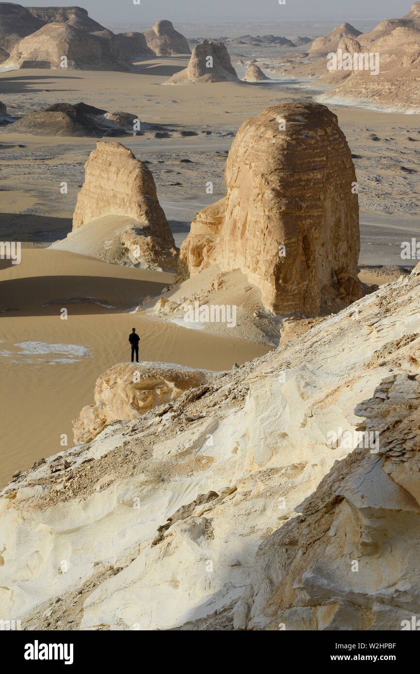 Egitto, Farafra, Nationalpark White Desert, Naqb come Sillim - Pass delle scale , dalla sabbia e dal vento a forma di erosione di calcare e di Chalk cliffs Foto Stock