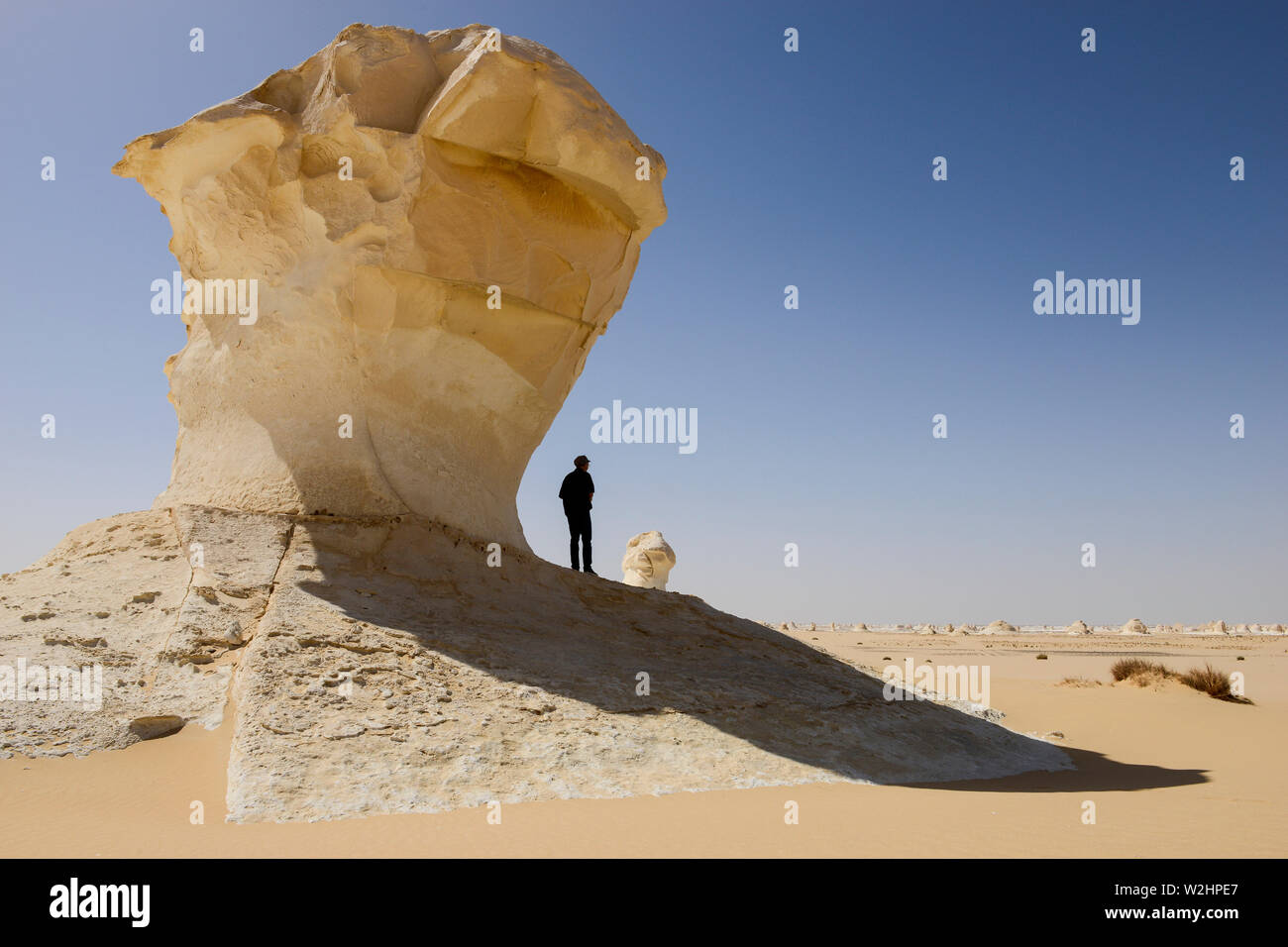 Egitto, Farafra, Nationalpark White Desert , bizzarro e unico bianco di tipo fungo chalk rocce con la forma da vento ed erosione di sabbia durante il secolo di dune di sabbia Foto Stock