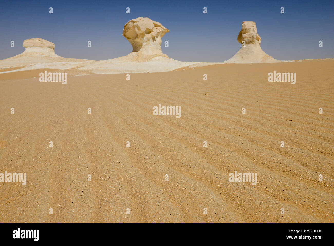 Egitto, Farafra, Nationalpark White Desert , bizzarro e unico bianco di tipo fungo chalk rocce con la forma da vento ed erosione di sabbia durante il secolo di dune di sabbia Foto Stock