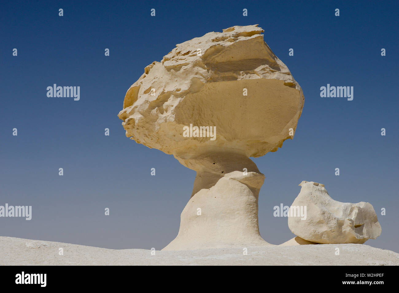 Egitto, Farafra, Nationalpark White Desert , bizzarro e unico bianco di tipo fungo chalk rocce con la forma da vento ed erosione di sabbia durante il secolo di dune di sabbia Foto Stock