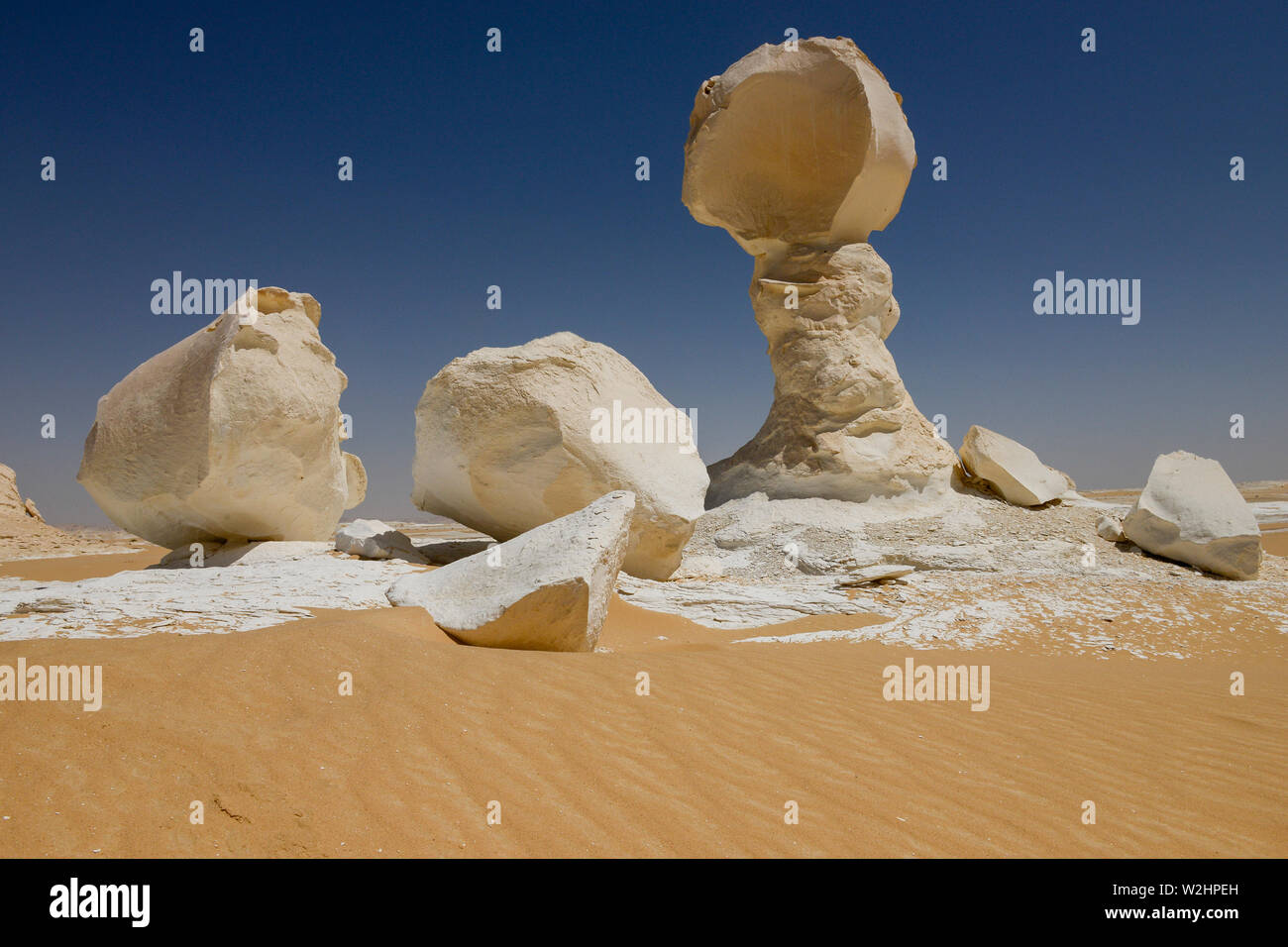 Egitto, Farafra, Nationalpark White Desert , bizzarro e unico bianco di tipo fungo chalk rocce con la forma da vento ed erosione di sabbia durante il secolo di dune di sabbia Foto Stock