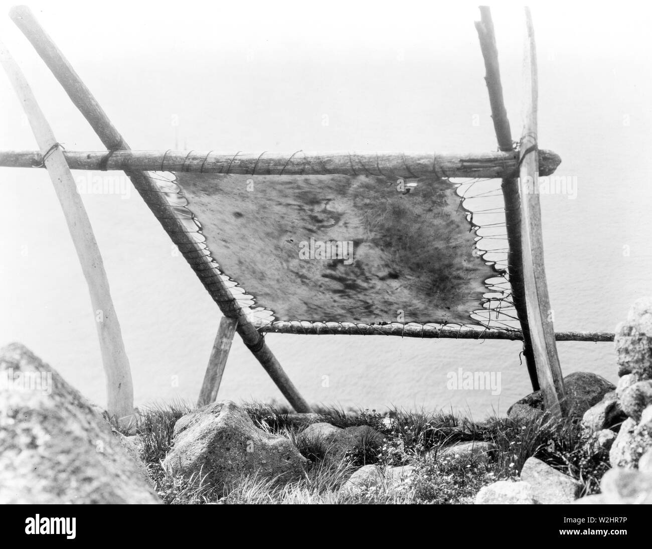 Edward S. Curtis nativi indiani americani - Essiccazione trichechi nascondere, Diomede, Alaska ca. 1929 Foto Stock