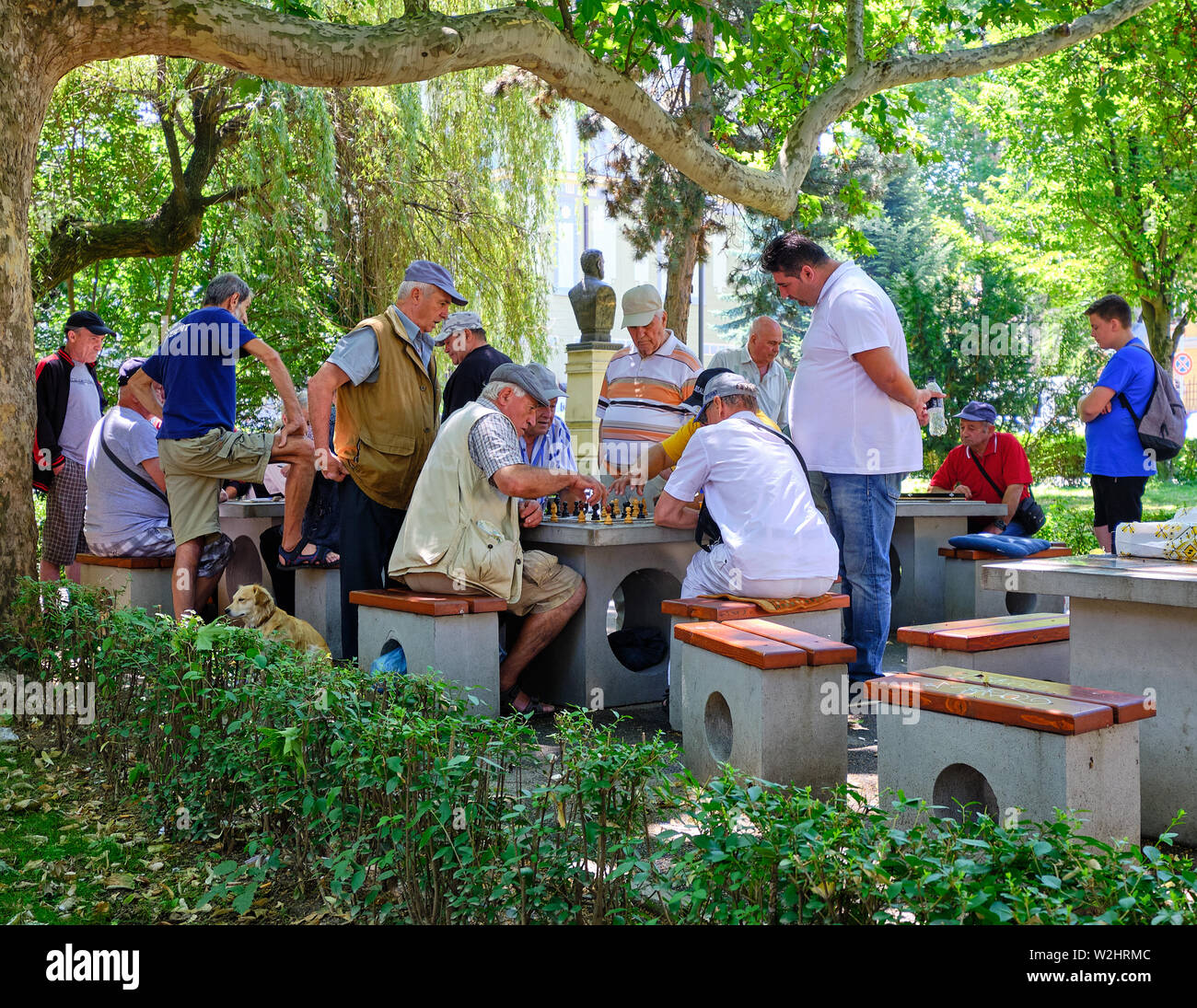 Gruppo di alti uomini in un parco a guardare una partita a scacchi. Sibiu, Romania, Luglio 2019 Foto Stock