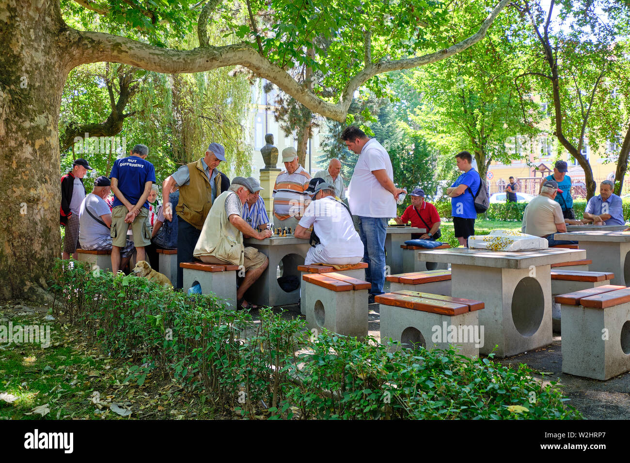Gruppo di alti uomini in un parco a guardare una partita a scacchi. Sibiu, Romania, Luglio 2019 Foto Stock