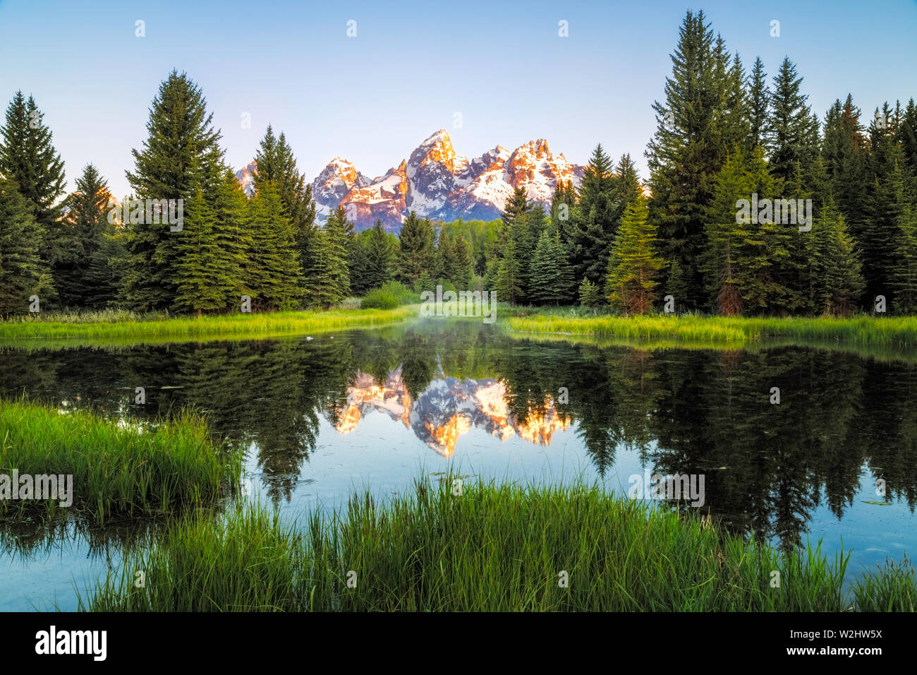 La Teton luce picchi fino al sole del mattino lungo il castoro stagni di Schwabacher atterraggio una destinazione molto popolare a Grand Teton National Park Foto Stock