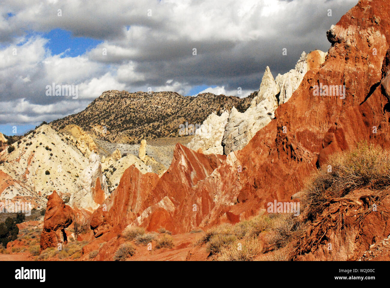 Southern Utah è famoso per il suo splendido scenario desertico. Questo stupefacente paesaggio panoramico spiega perché. Foto Stock