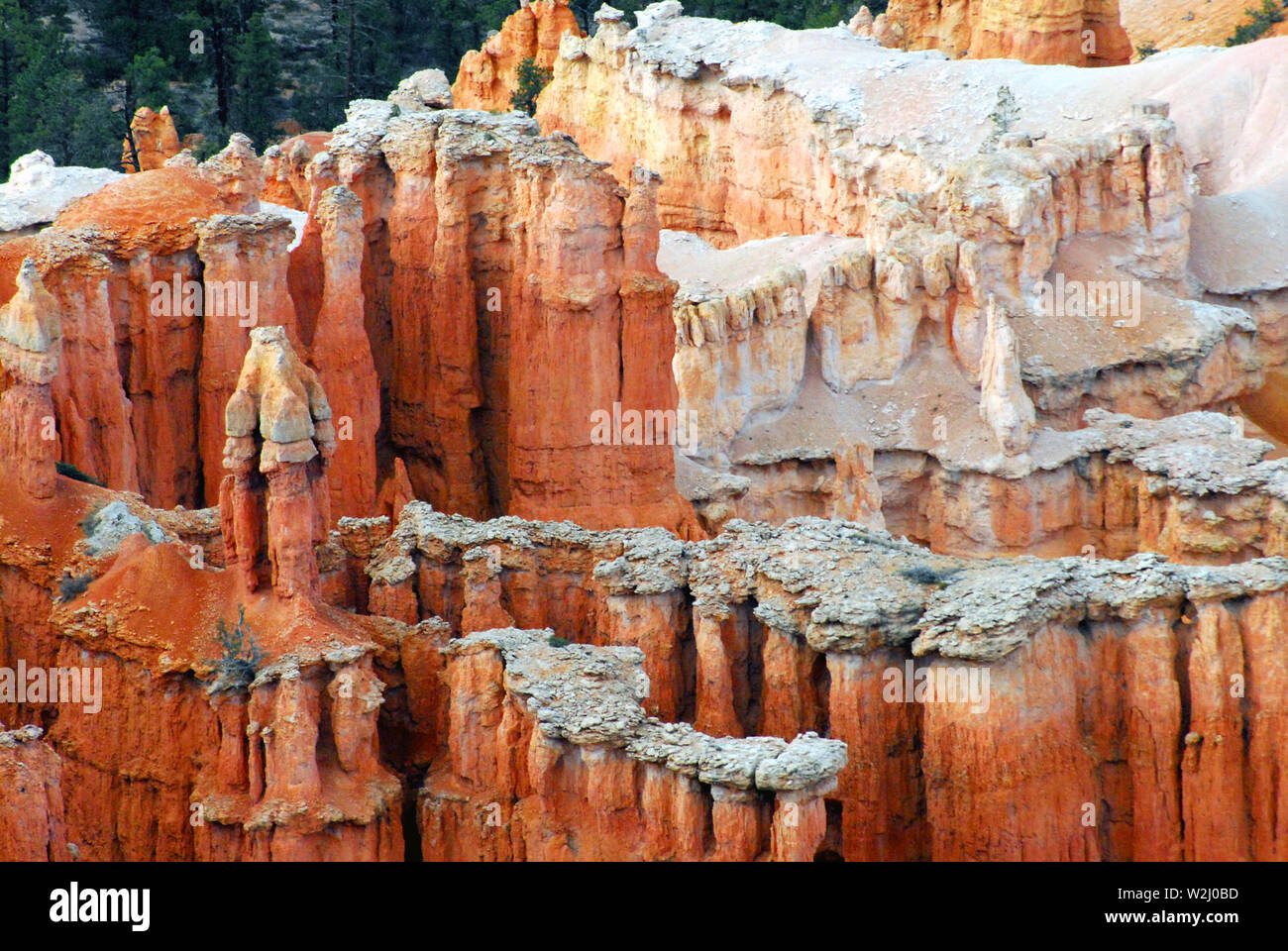 Panorama stupendo fo Bryce Canyon dello Utah, Stati Uniti d'America che è conosciuta nel mondo per la sorprendente colorate formazioni di pietra arenaria chiamato Hoodoos. Foto Stock