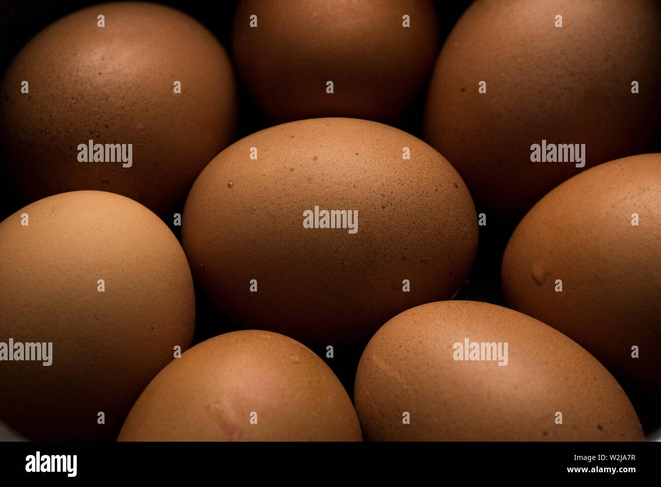 Una disposizione di otto uova di colore marrone. Foto Stock