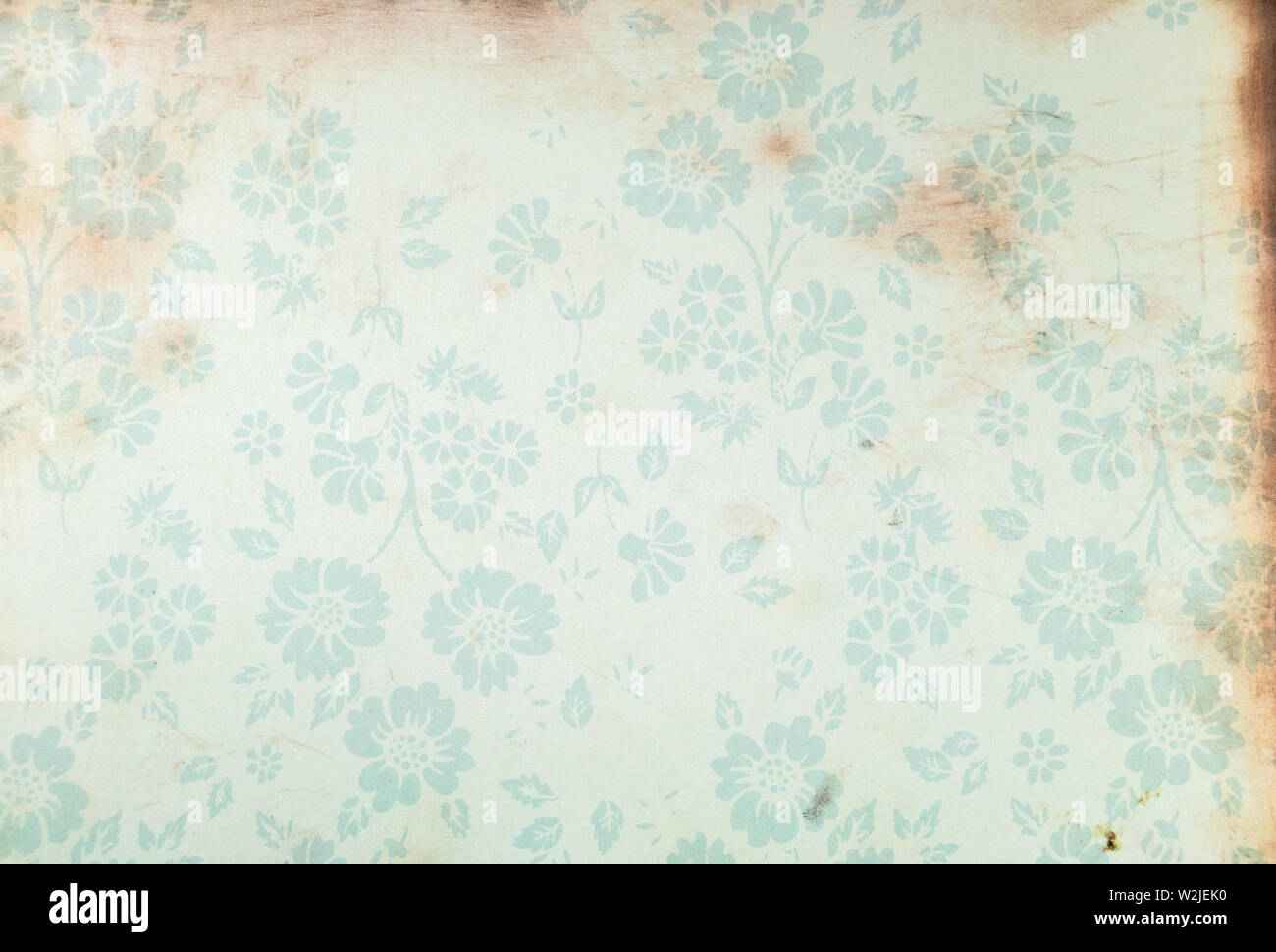 Molla di risorse grafiche tema infanzia e dolcezza. Motivo floreale Foto Stock