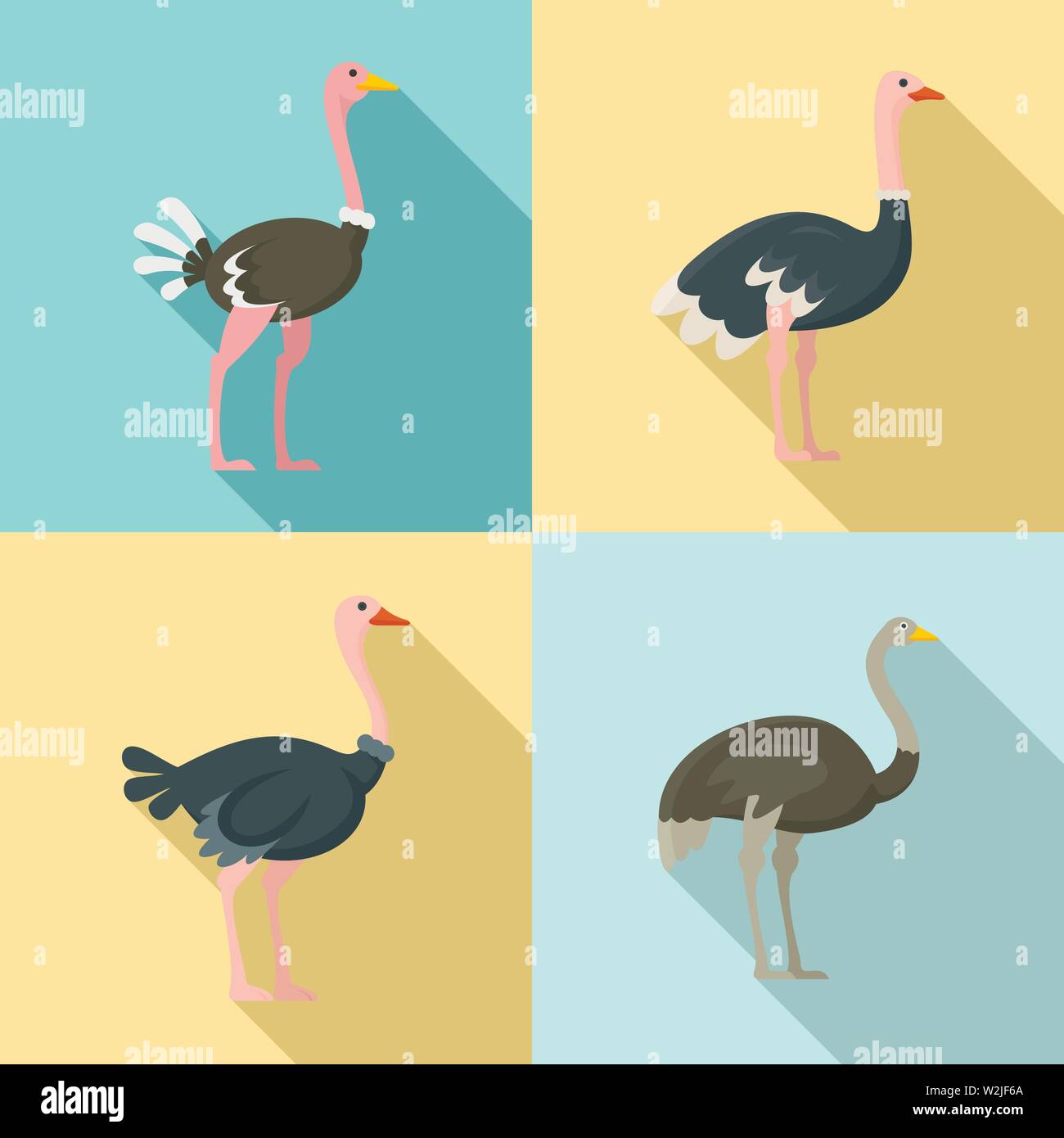 Struzzo set di icone. Set piatto di struzzo icone vettoriali per il web design Illustrazione Vettoriale